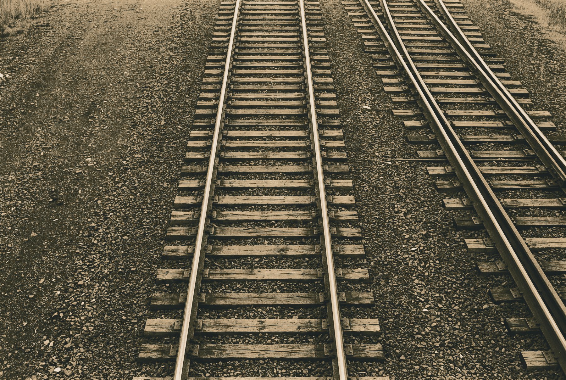 Railway tracks seen from directly above at a set of points, one track curving smoothly away from the other.